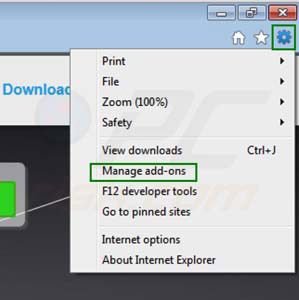 Eliminando Zoom downloader de las extensiones de Internet Explorer paso 1