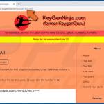Sitio web de proliferación de malware CopperStealer 1