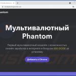 Sitio web de promoción del malware SpyAgent 4