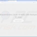 Sitio web utilizado para promocionar el secuestrador de navegadores EasySearch 1