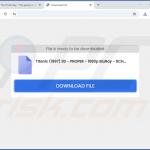 Sitio web utilizado para promocionar el secuestrador de navegadores SearchNinja 3