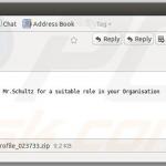 Email que distribuye Zepto (ejemplo 1)