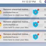 putlocker notificación notification 3