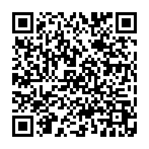 0apt Locker virus Código QR