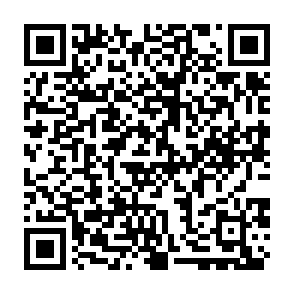 Virus 888 (Dharma) Código QR