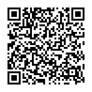 Virus Aldet Código QR
