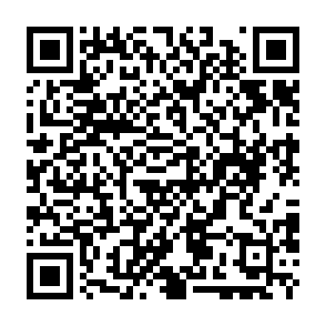 Asyl virus Código QR