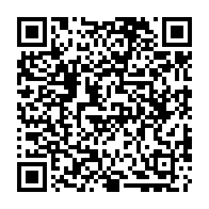 Cargador de malware AvisLoader Código QR