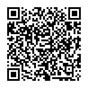 Bactor virus Código QR