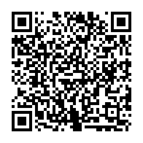 BambooToken backdoor Código QR