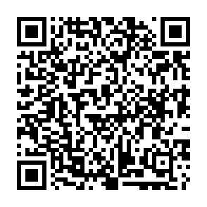 drenador de criptomonedas $Bitcat Airdrop Código QR