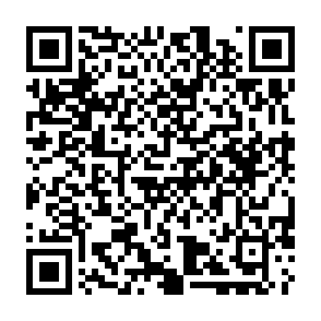virus BL4CK SP1D3R Código QR