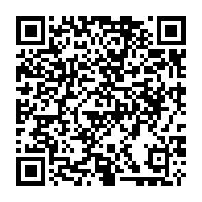 BoryptGrab programa para robar información Código QR