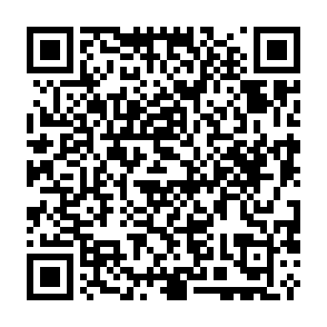 Bricks virus Código QR