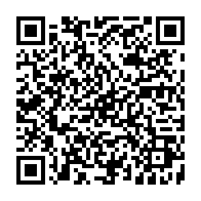 virus Calipso Código QR