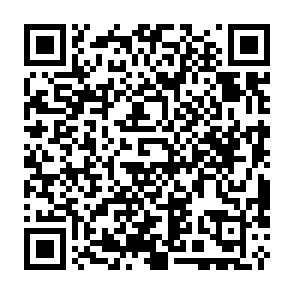 CCLand virus Código QR