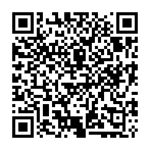 virus Citrus Código QR