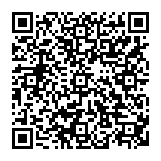 Virus CrashStealer Código QR