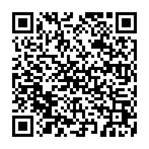 Dante ladrón Código QR