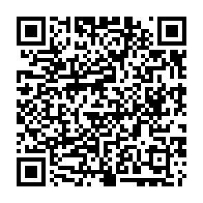 DeerStealer ladrón de información Código QR