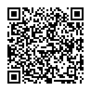 Developer virus Código QR