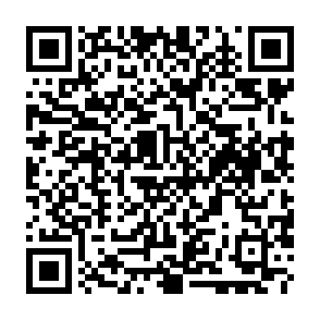 Troyano de acceso remoto Dolphin X Código QR