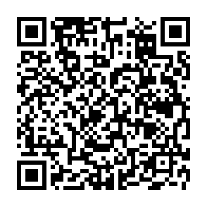 Virus Draxo Código QR