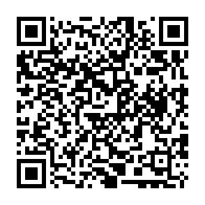 Sitio web falso de Elon Musk Giveaway Código QR