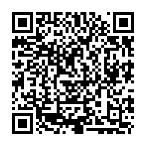 Evolution information stealer Código QR