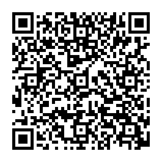 Bogus Blockchain Vault Protocol Código QR