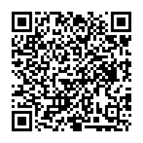Ejecutor de scripts Fake Xeno Código QR