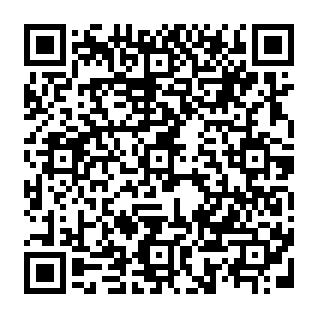 Image Search secuestrador de navegador Código QR