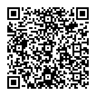 Google Voice estafa de phishing Código QR