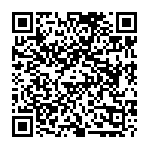 Sitio web fraudulento de Grass Airdrop Código QR