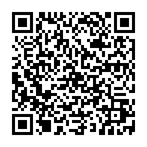 Grass Vote Rewards crypto drainer Código QR