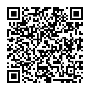 Ladrón GrokPy Código QR