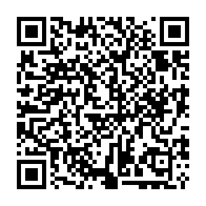 Hitler virus Código QR