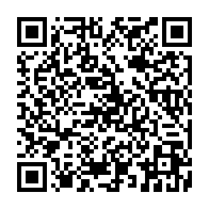 virus Hommy Código QR