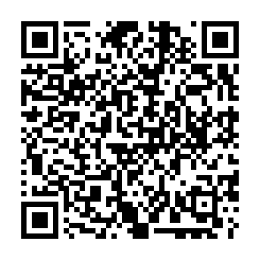HybridPetya virus Código QR