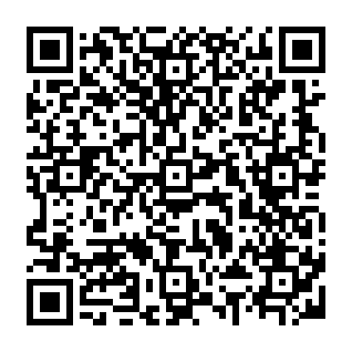 Image Search Pro secuestrador del navegador Código QR