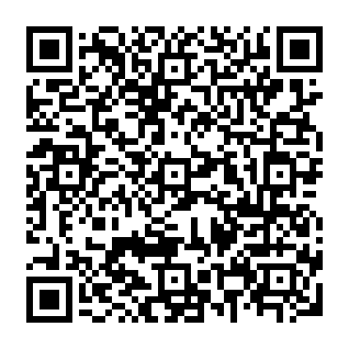 Internal Error correo electrónico de phishing Código QR