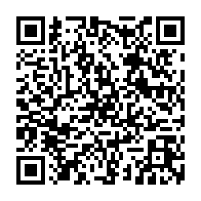 virus InterServer Código QR