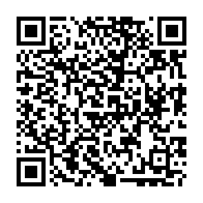 Robador de información JSCEAL Código QR