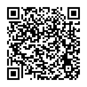 Virus Karma Group Código QR