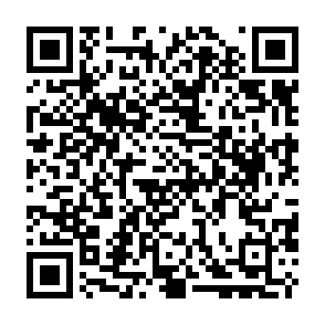 virus KarryTech Código QR