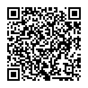 virus KIMO Código QR
