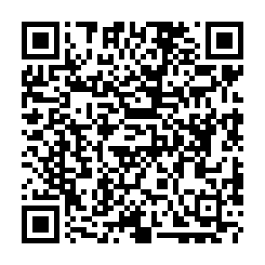KREMLIN virus Código QR