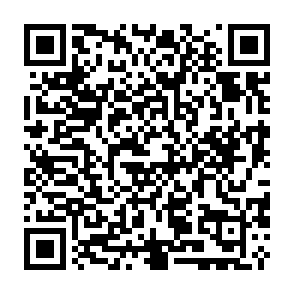 Virus KRYBIT Código QR