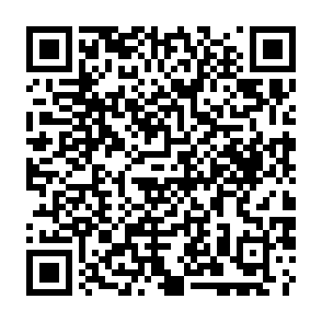LabubaRAT troyano de acceso remoto Código QR
