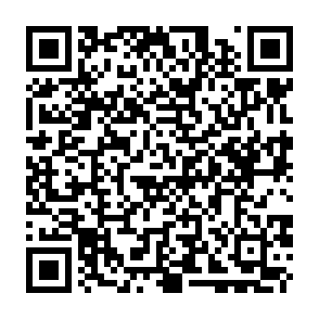 Lamia Loader virus Código QR